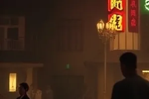 《候鸟不南飞》剧照：冬季湿地上一群停留的候鸟